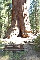 Sequoia & Kings Canyon NP